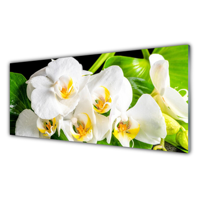 Cuadro en vidrio Orquídea flores naturaleza