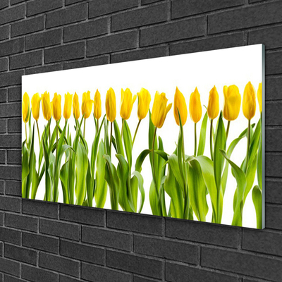 Cuadro en vidrio Tulipanes flores naturaleza