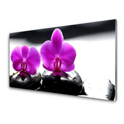 Cuadro en vidrio Flores orquídea naturaleza