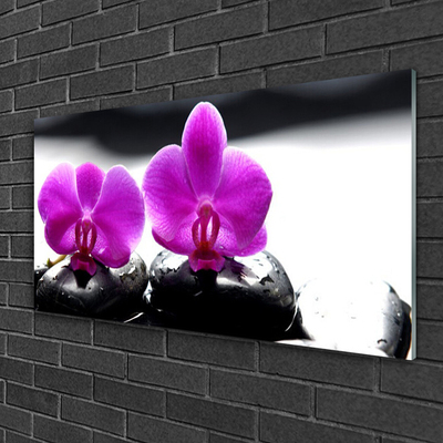 Cuadro en vidrio Flores orquídea naturaleza