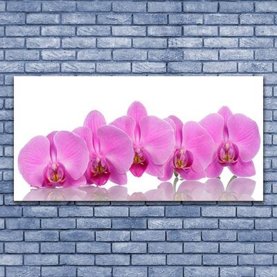 Cuadro en vidrio Orquídea rosa flores