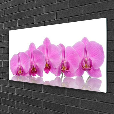 Cuadro en vidrio Orquídea rosa flores
