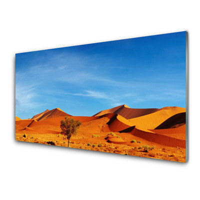 Cuadro en vidrio Desierto paisaje arena
