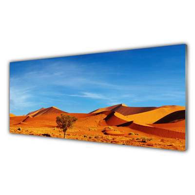 Cuadro en vidrio Desierto paisaje arena