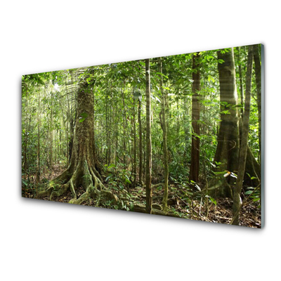 Cuadro en vidrio Bosque naturaleza jungla árboles