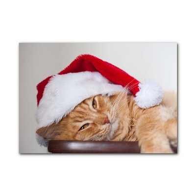 Cuadro en vidrio Gato del sombrero de Santa de Navidad