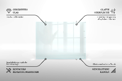 Panel de cocina transparente