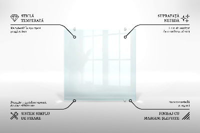 Panel de cocina transparente