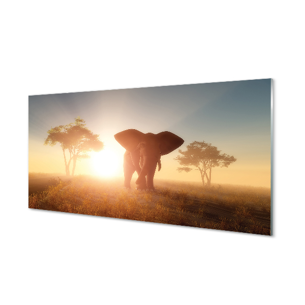 Paneles de vidrio Elefante árbol al este