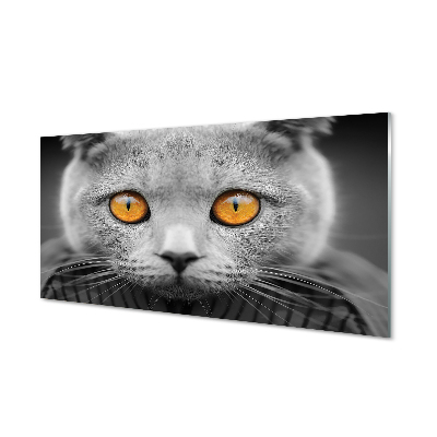 Paneles de vidrio Gato gris británica