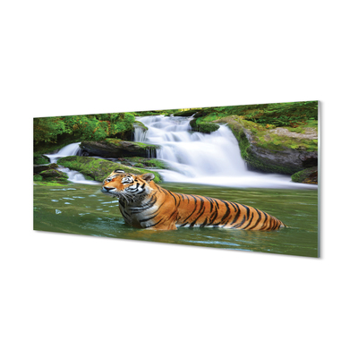 Paneles de vidrio Cascada tigre