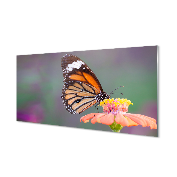 Paneles de vidrio Colorido de la flor de mariposa