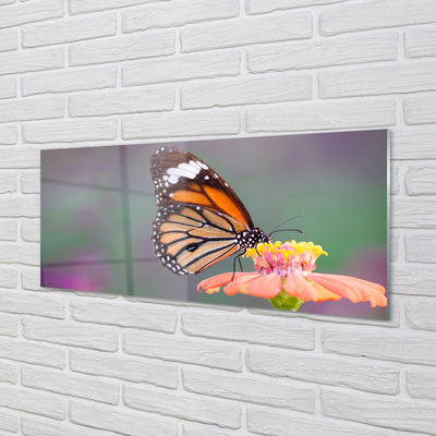 Paneles de vidrio Colorido de la flor de mariposa