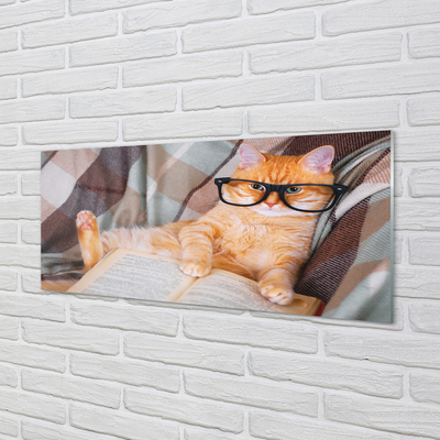 Paneles de vidrio El gato lector