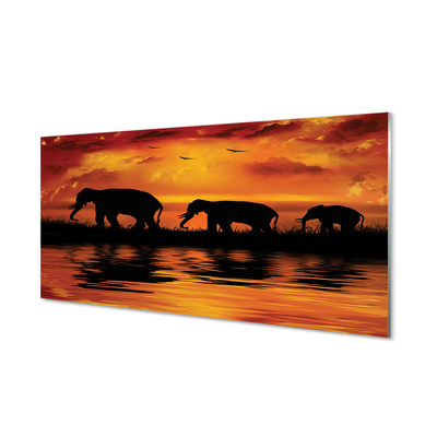 Paneles de vidrio Elefantes west lake