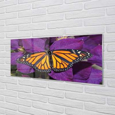 Paneles de vidrio Flores de colores mariposa