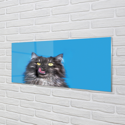 Paneles de vidrio Oblizujący un gato