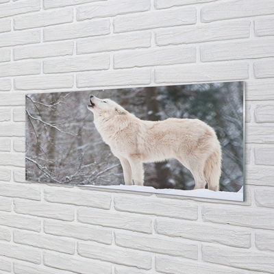 Paneles de vidrio Bosque de invierno lobo