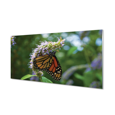 Paneles de vidrio Mariposa colorida flor