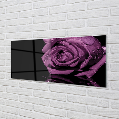 Paneles de vidrio Rosa purpura