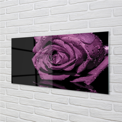 Paneles de vidrio Rosa purpura