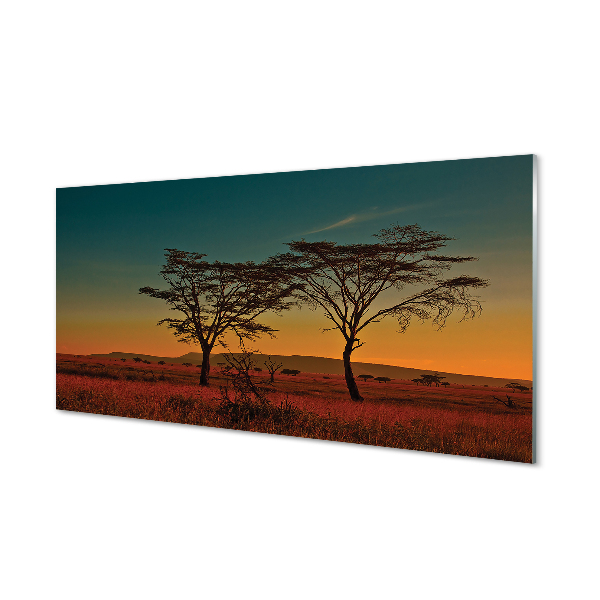 Paneles de vidrio Cielo arbol