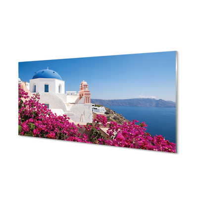 Paneles de vidrio Grecia flores edificios mar