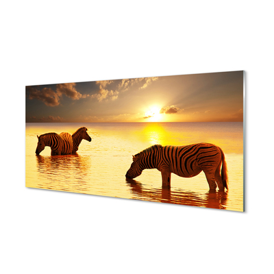 Paneles de vidrio Cebras sunset