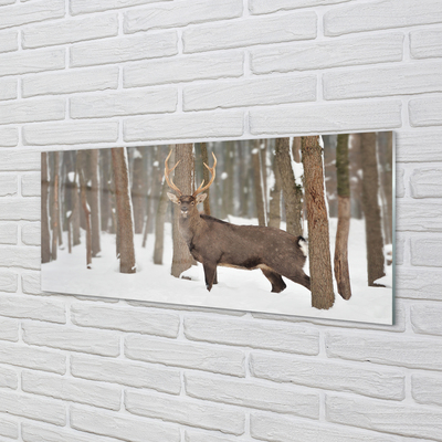 Paneles de vidrio Bosque de invierno ciervos