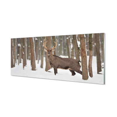 Paneles de vidrio Bosque de invierno ciervos