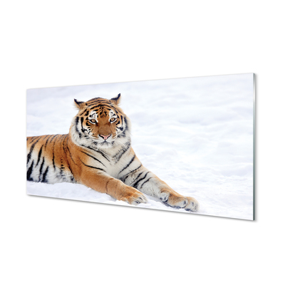 Paneles de vidrio Invierno tigre