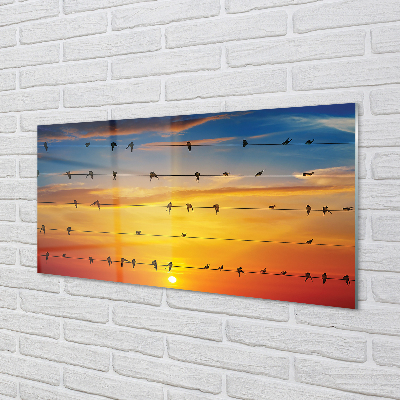 Paneles de vidrio Pájaros en la puesta del sol cuerdas