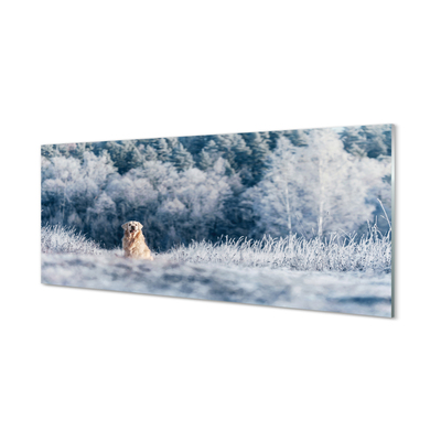 Paneles de vidrio Perro de montaña de invierno
