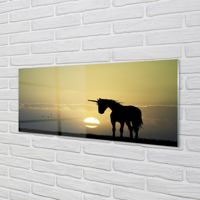 Paneles de vidrio El campo unicornio puesta de sol