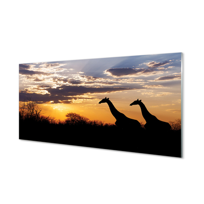 Paneles de vidrio Nubes de árbol de jirafas