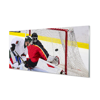 Paneles de vidrio Hockey de puerta de enlace