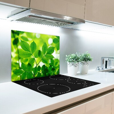 Tabla de cortar de vidrio Hojas verdes