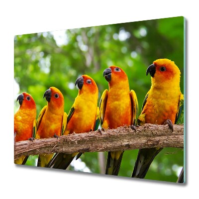Tabla de cortar de vidrio Loros en la rama