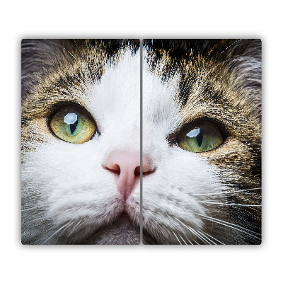 De vidrio templado Ojos verdes del gato
