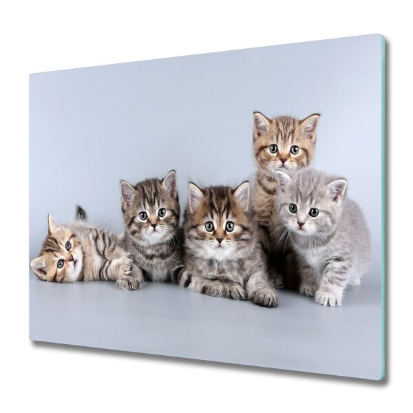 De vidrio templado Cinco gatos