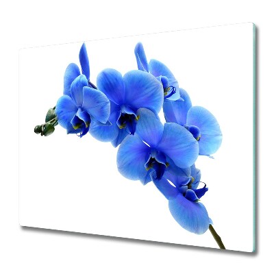 De vidrio templado Una orquídea azul
