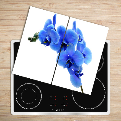 De vidrio templado Una orquídea azul