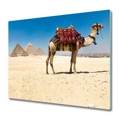 De vidrio templado Camello en el cairo