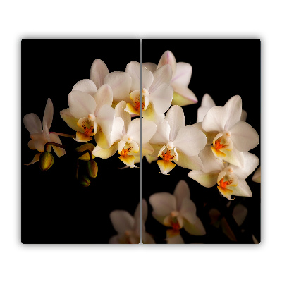 De vidrio templado Orquídea