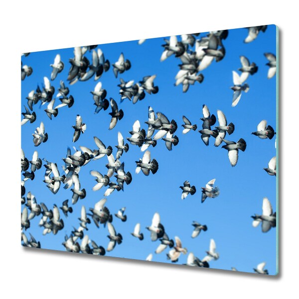 De vidrio templado Bandada de palomas