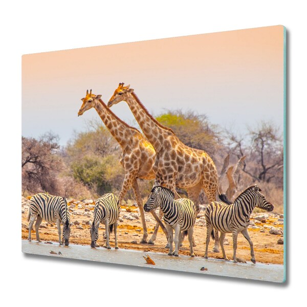 De vidrio templado Girafas y cebras