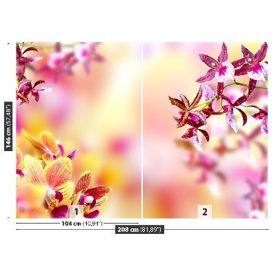 Fotomural Orquídea de color rosa