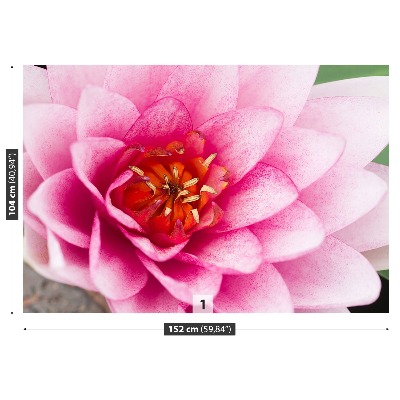 Fotomural Flor de loto