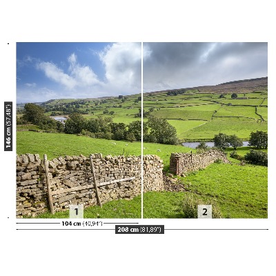 Fotomural Yorkshire colina
