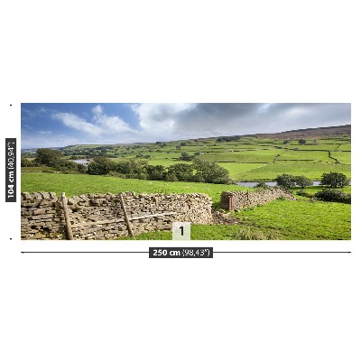 Fotomural Yorkshire colina